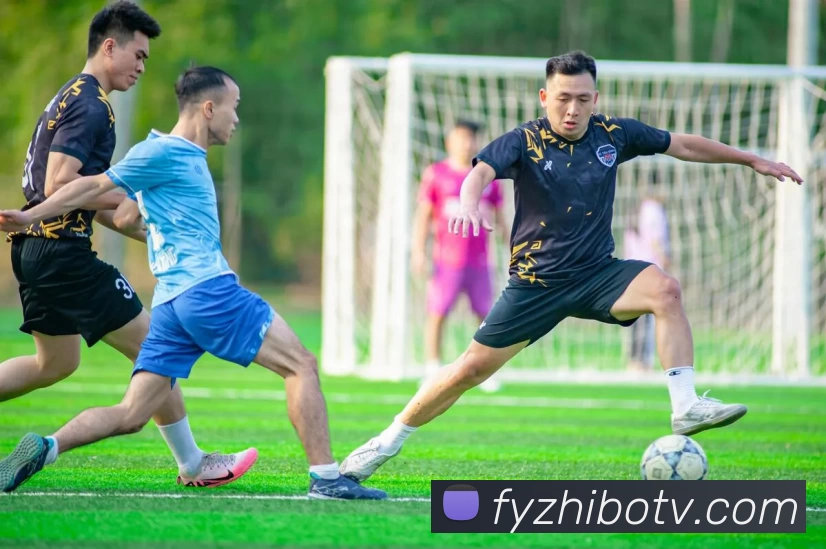 多媒体互动体验