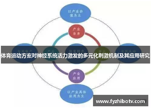 体育运动方案对神经系统活力激发的多元化刺激机制及其应用研究