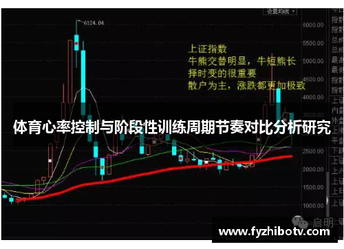 体育心率控制与阶段性训练周期节奏对比分析研究