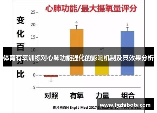 体育有氧训练对心肺功能强化的影响机制及其效果分析